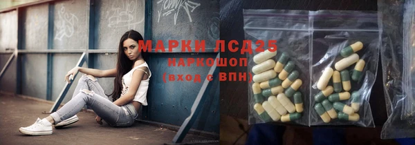 дживик Богородск