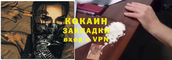 дживик Богородск