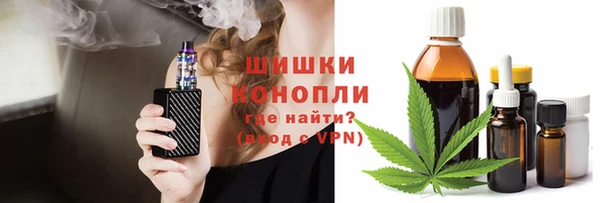 дживик Богородск
