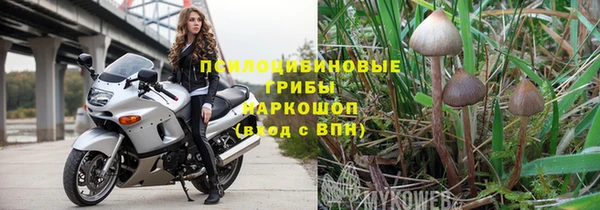 дживик Богородск