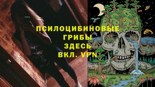 бошки Богородицк